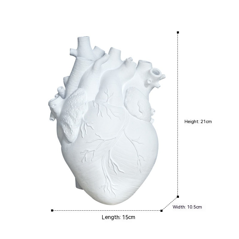 White anatomical heart model with measurements on a white background
