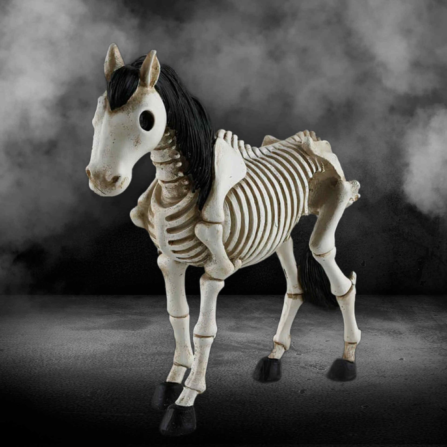 Horse skeleton model on a dark background