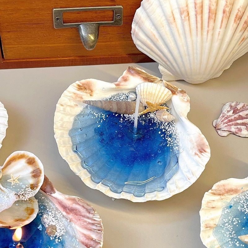 Decorative shell with a blue interior and candle inside, surrounded by other shells.