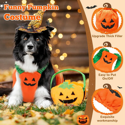 Trendy Funny Pumpkin Dog/Cat Halloween and Autumn Costume