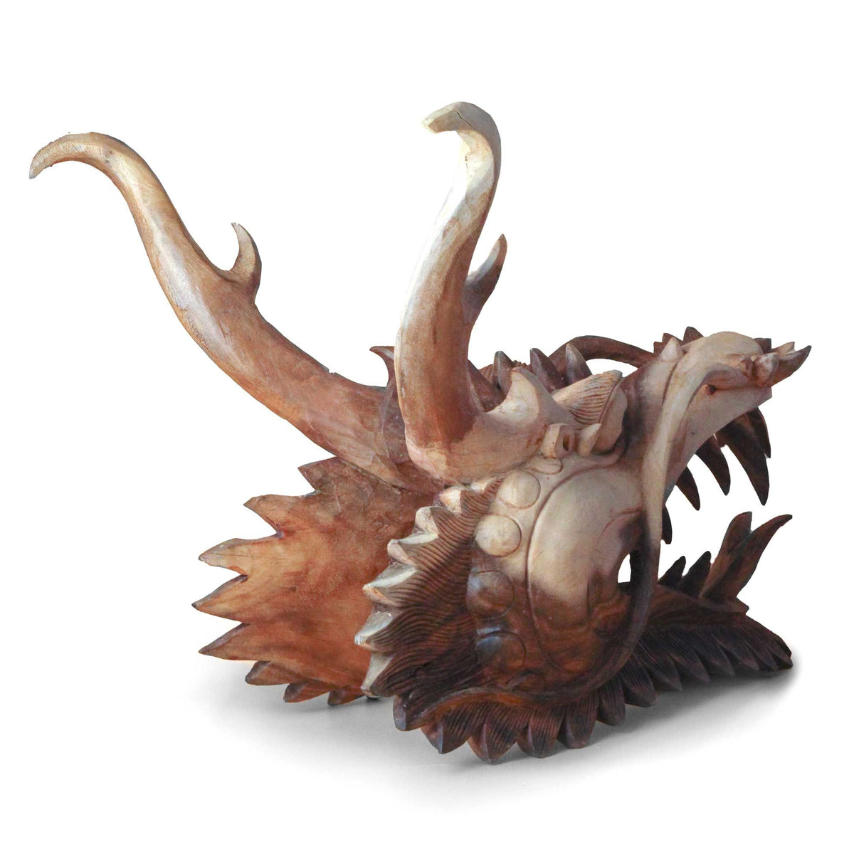 Live Size Dragon Head Carving